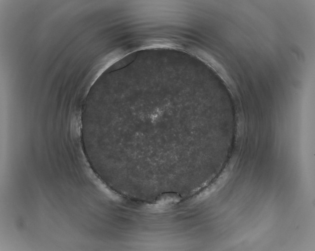 X0000111831377200907231308