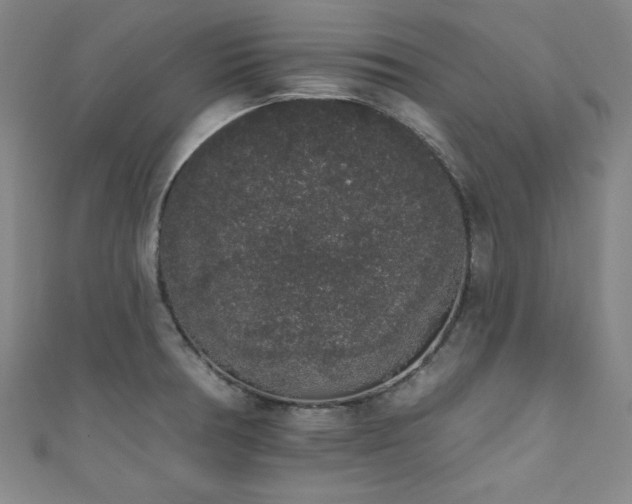 X0000111831378200907231308