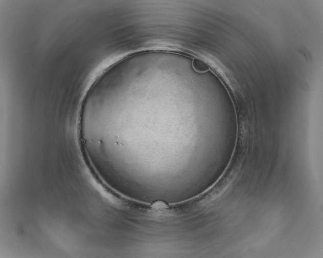 X0000111831379200907231308