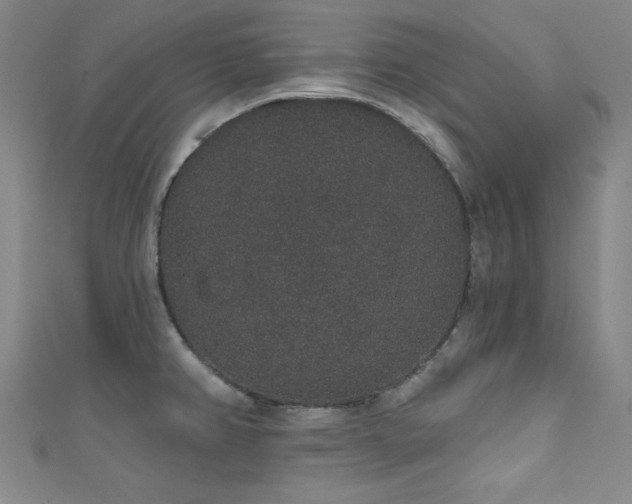 X0000111831382200907231308