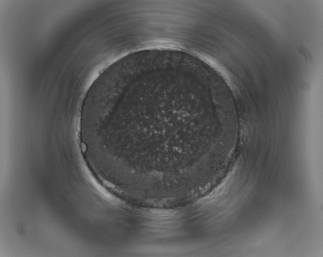 X0000111831383200907231308