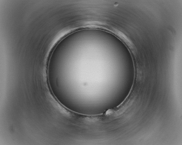 X0000111831384200907231308