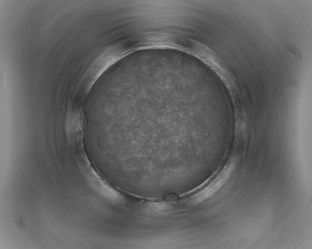 X0000111831385200907231308