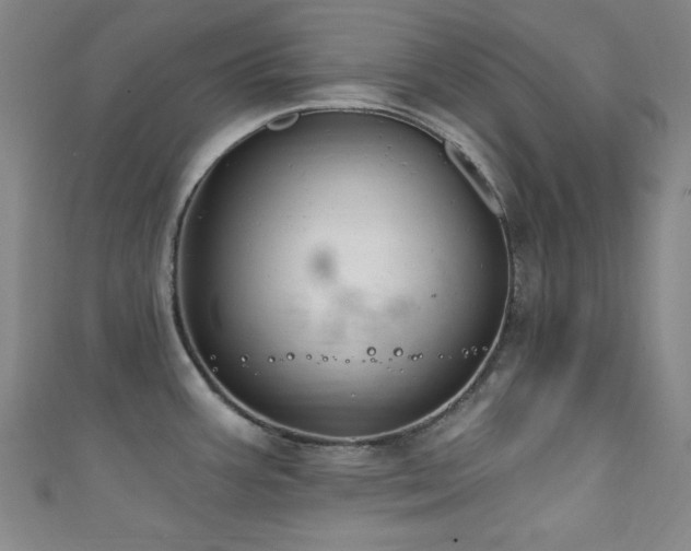 X0000111831387200907231308