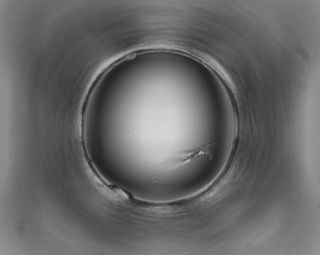 X0000111831388200907231307