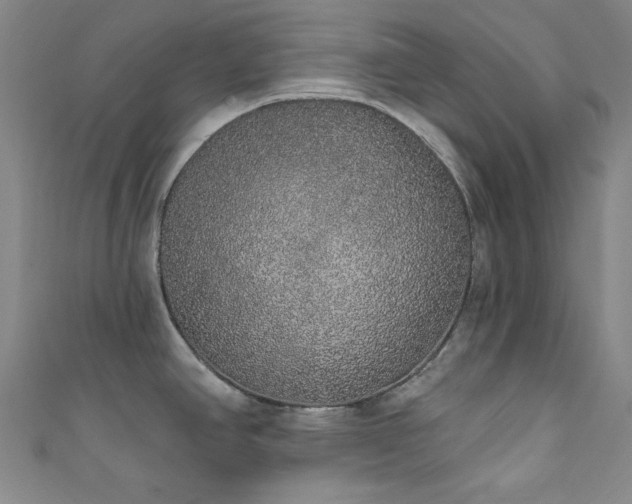 X0000111831390200907231307