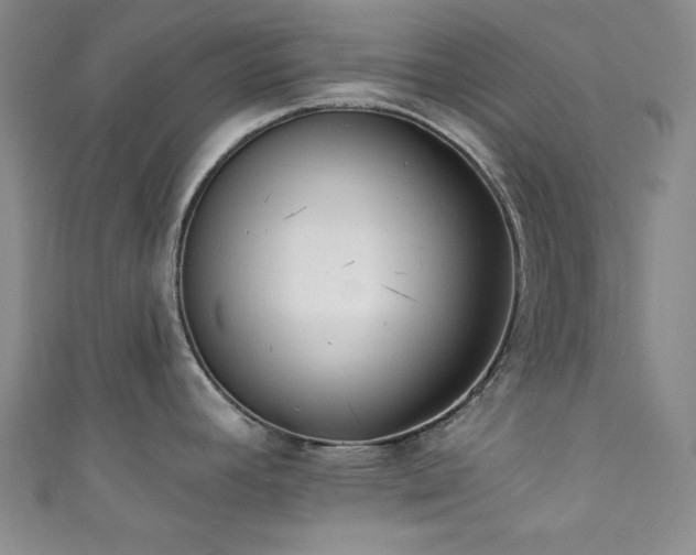 X0000111831392200907231307