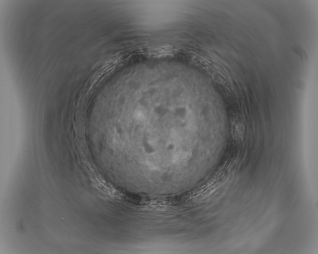 X0000111831393200907231307