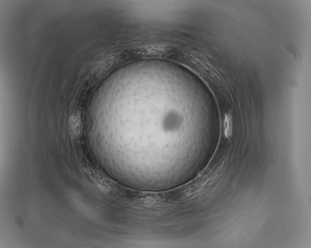 X0000111831395200907231307