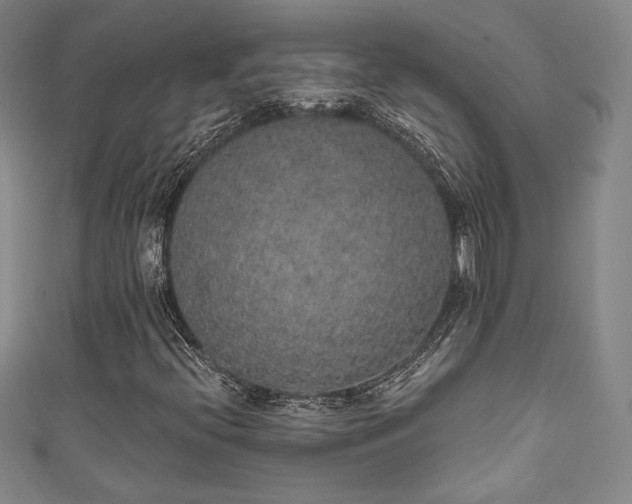 X0000111831396200907231307