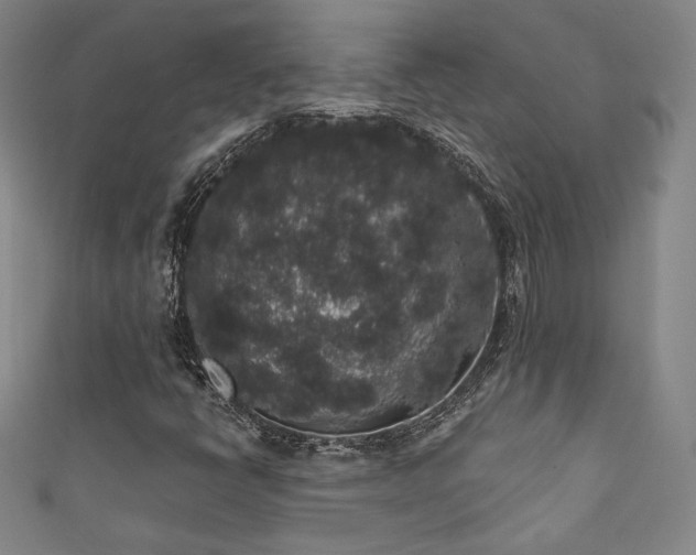 X0000111831398200907231307