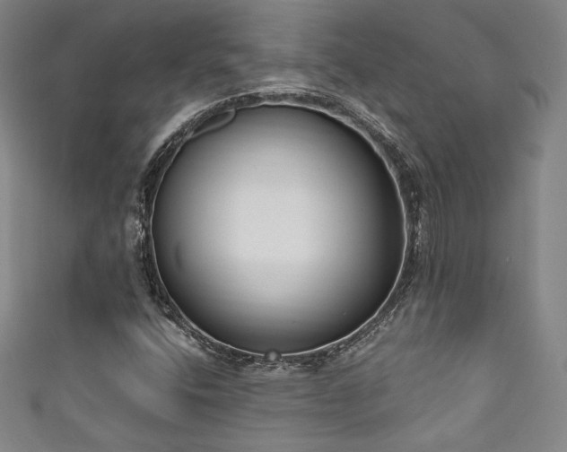X0000111831400200907231307