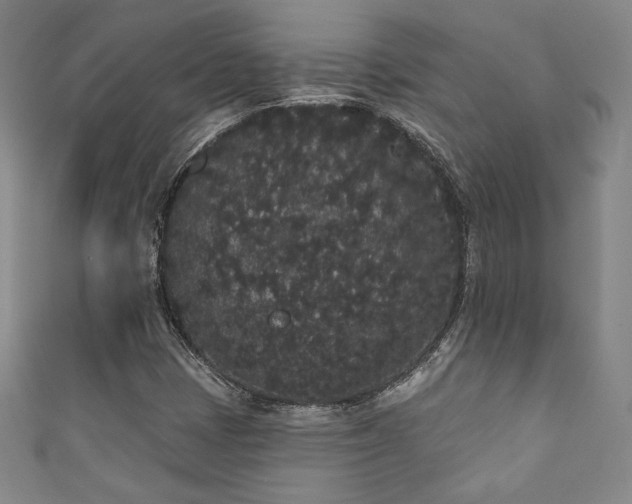 X0000111831401200907231307