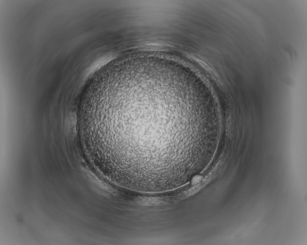 X0000111831402200907231307