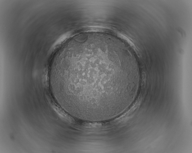 X0000111831403200907231307