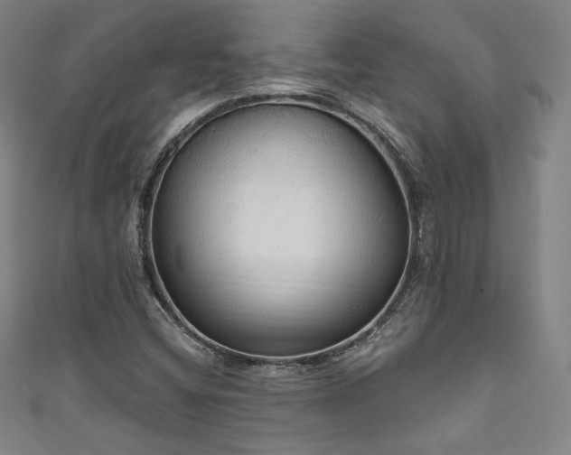 X0000111831404200907231307
