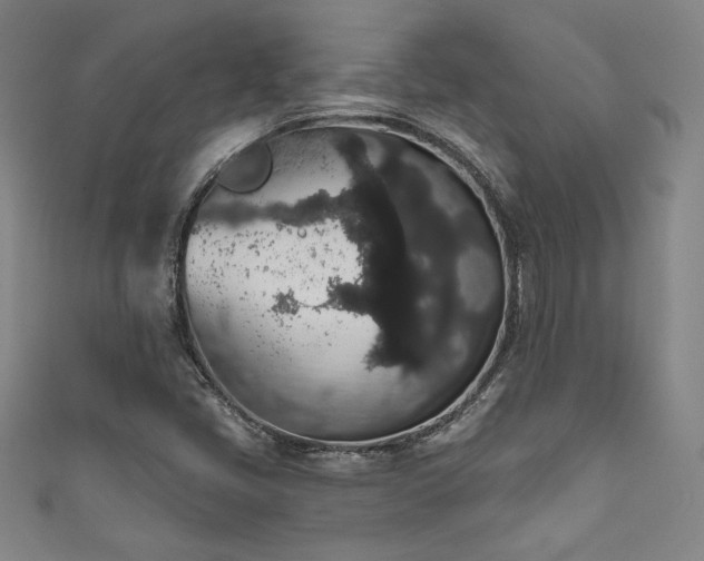 X0000111831405200907231307