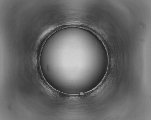 X0000111831406200907231307