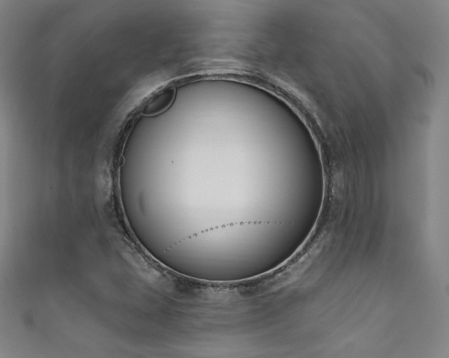 X0000111831407200907231307