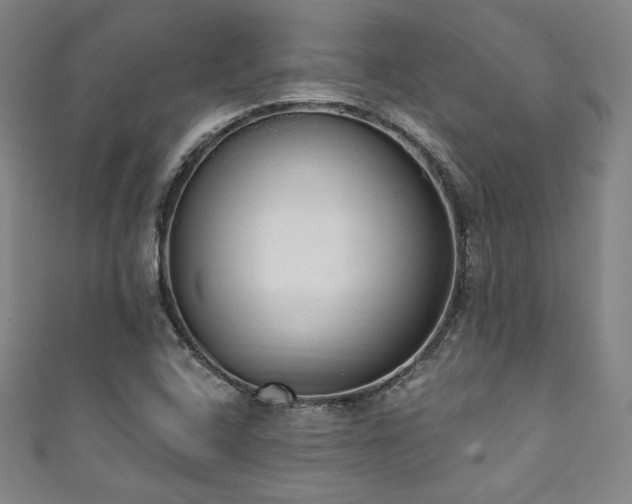 X0000111831408200907231307