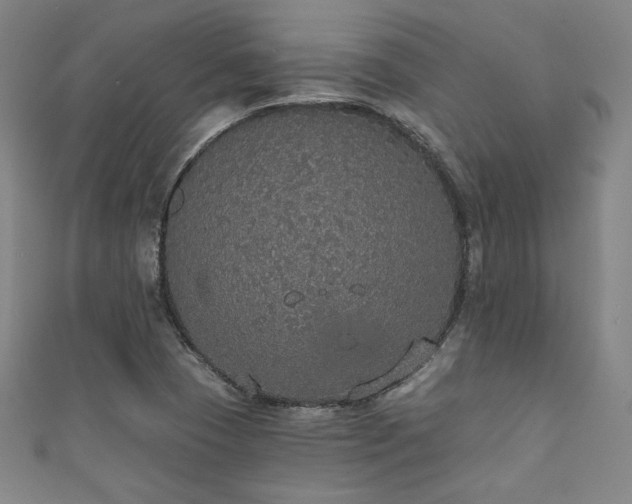 X0000111831409200907231307