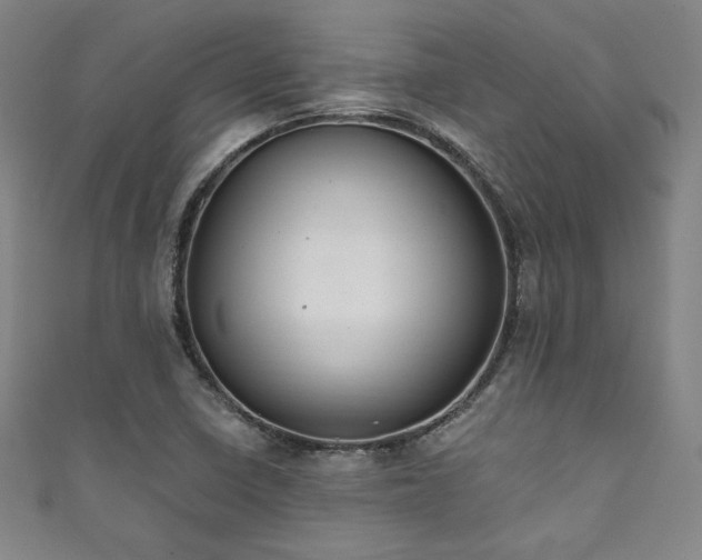 X0000111831410200907231307