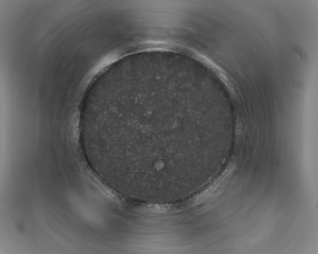 X0000111831411200907231307