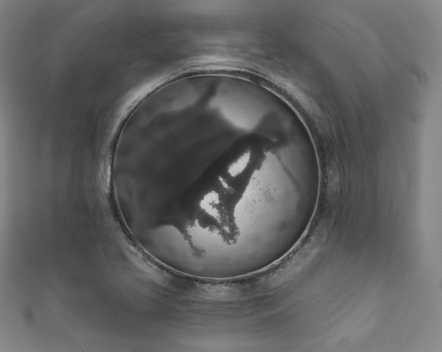 X0000111831413200907231307
