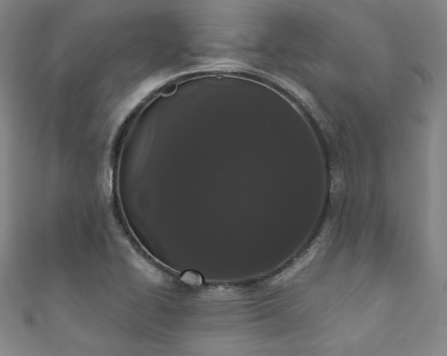 X0000111831414200907231307