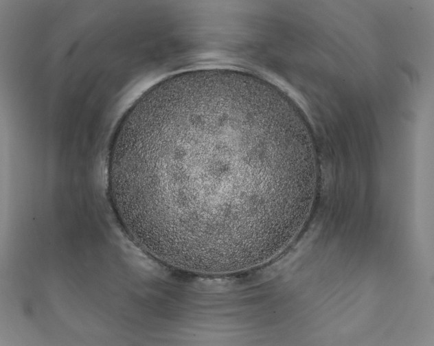 X0000111831415200907231307