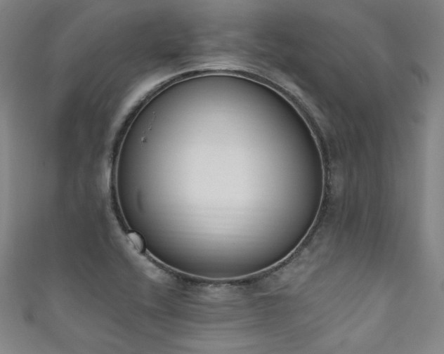 X0000111831416200907231307