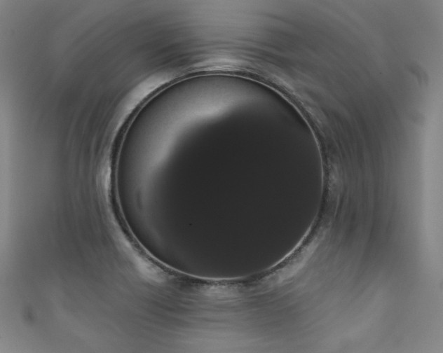 X0000111831418200907231307