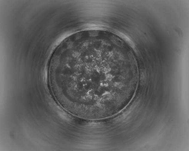 X0000111831419200907231307