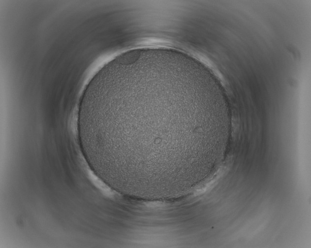 X0000111831421200907231307