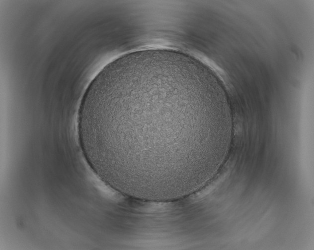 X0000111831423200907231307
