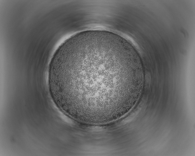 X0000111831424200907231307