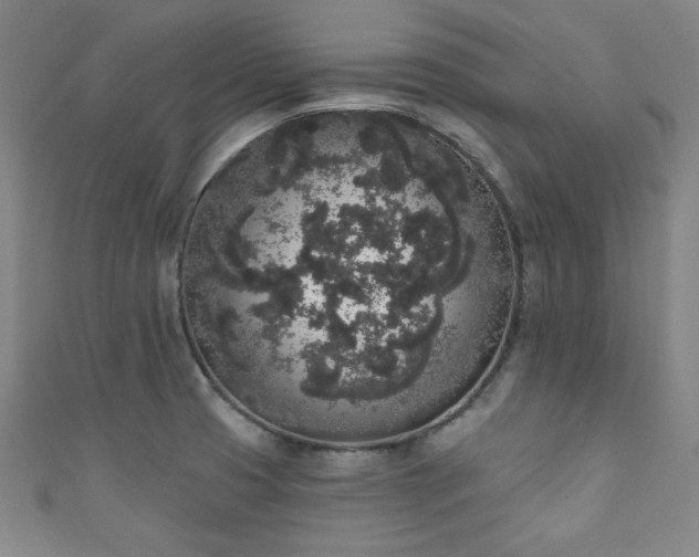 X0000111831425200907231307