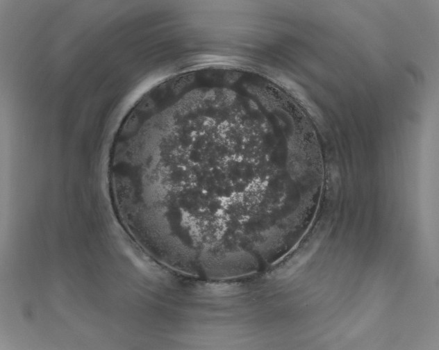 X0000111831427200907231307