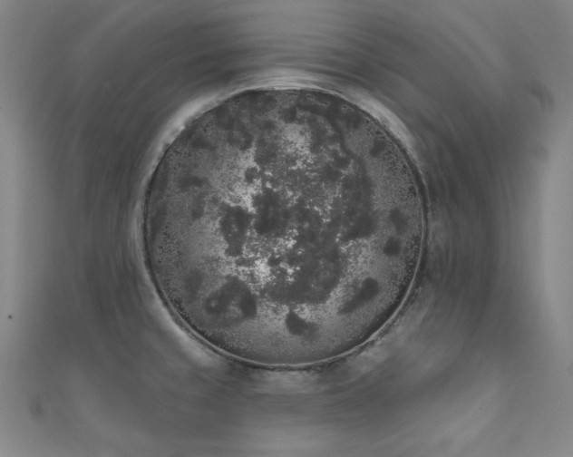X0000111831429200907231307