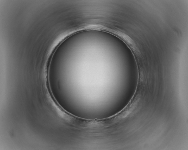 X0000111831430200907231307