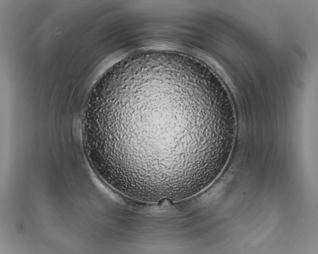 X0000111831433200907231307