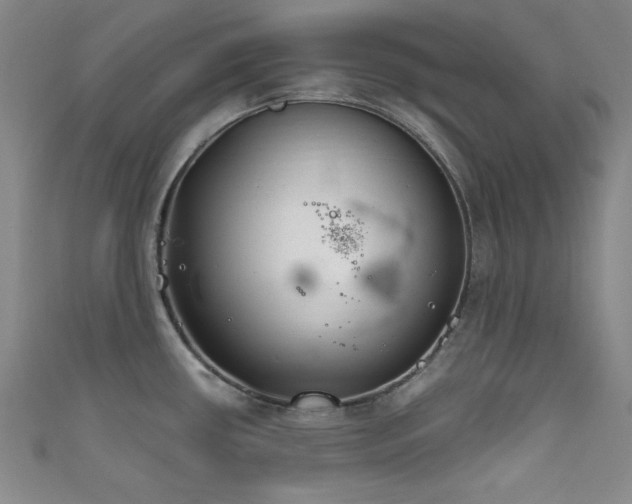 X0000111831434200907231307