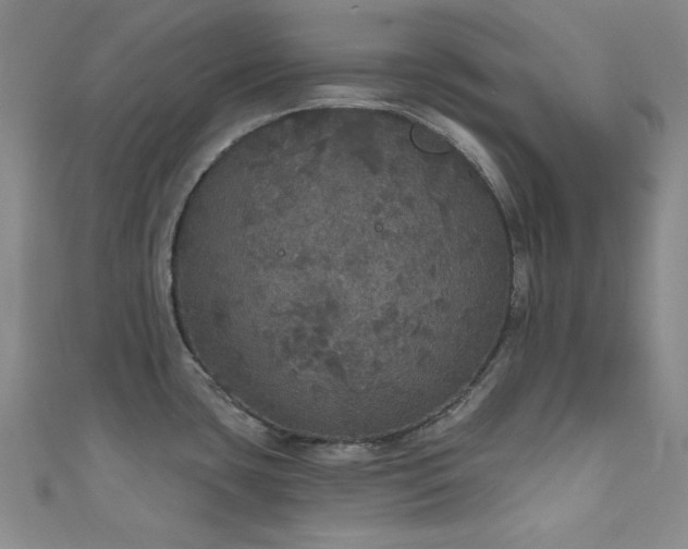 X0000111831435200907231307