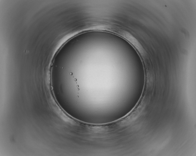 X0000111831436200907231307