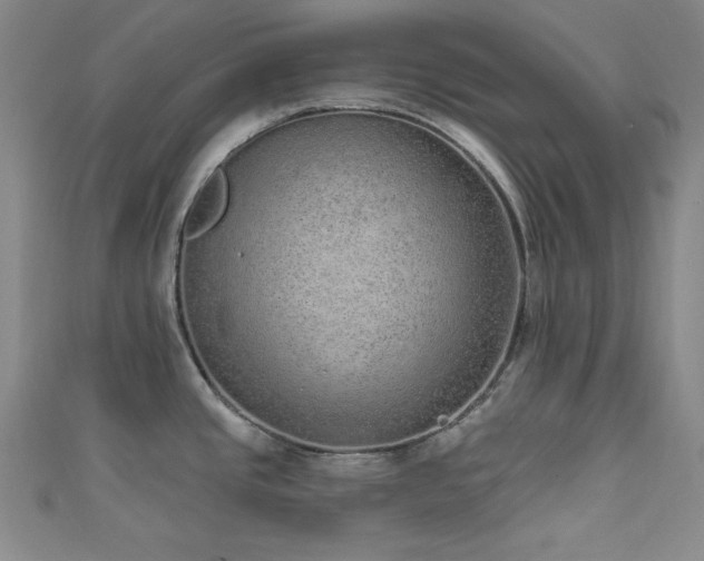 X0000111831437200907231307