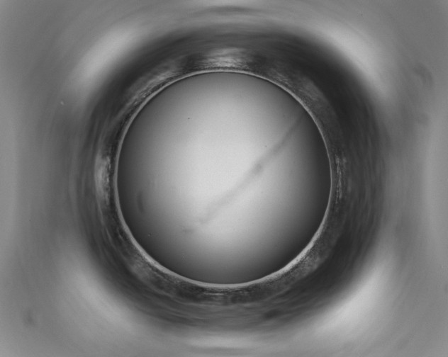 X0000111831438200907231307