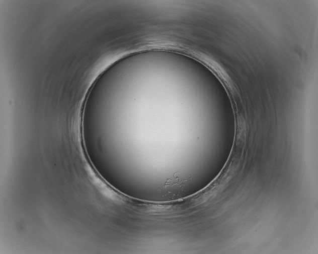 X0000111831439200907231307