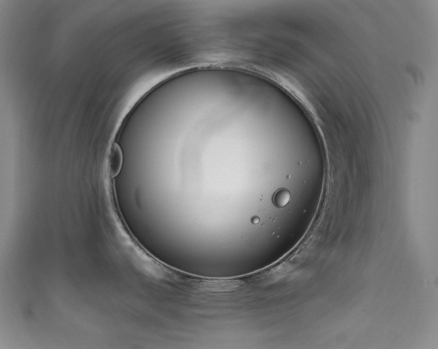 X0000111831440200907231307
