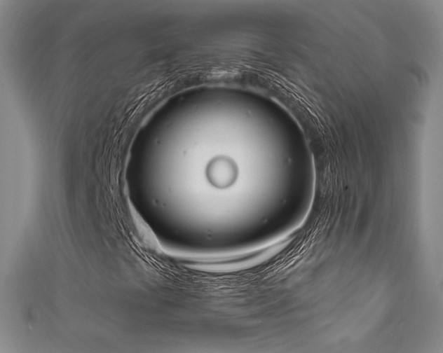X0000111831441200907231307