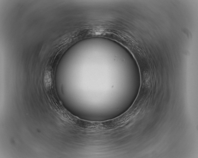 X0000111831442200907231307